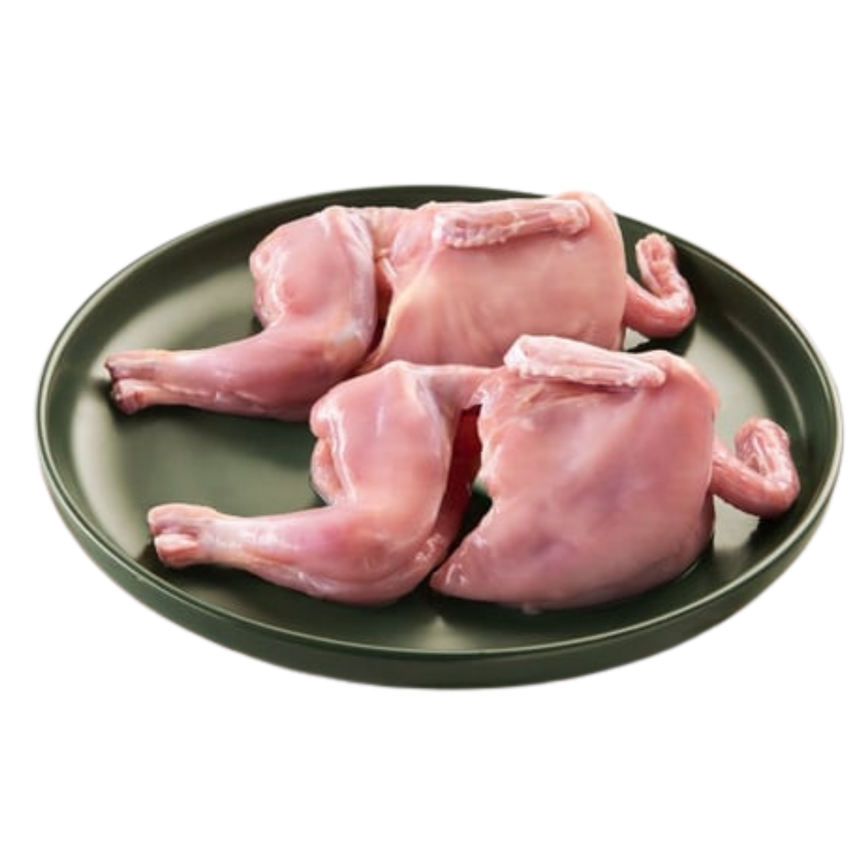 Japanese Quail (Kadai/Battair)