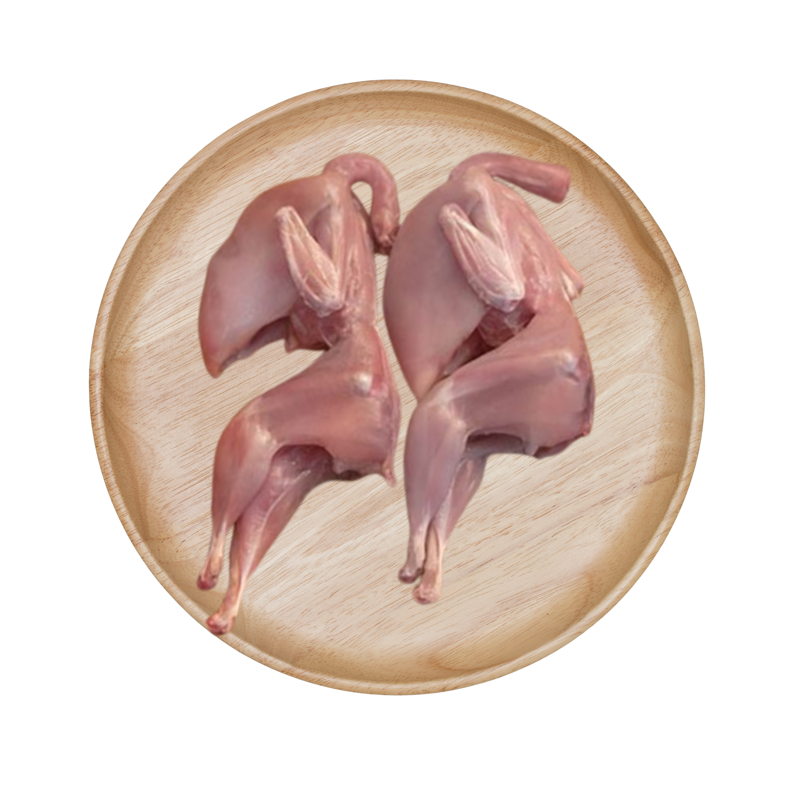 Japanese Quail (Kadai/Battair)